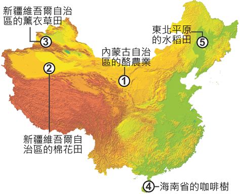 帶狀綠洲分布